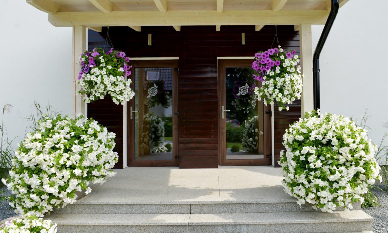 Apartamenty U Harrego II Przy Stawie Spa Klimatyzacja,Balkon,Sauna , Balia, Ogrod,Parking كودوفا- زدروي المظهر الخارجي الصورة